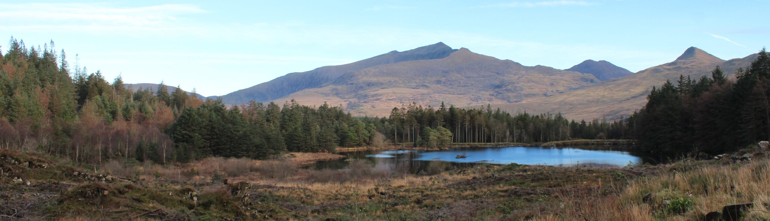 View of Snowdon from beddgelert forest