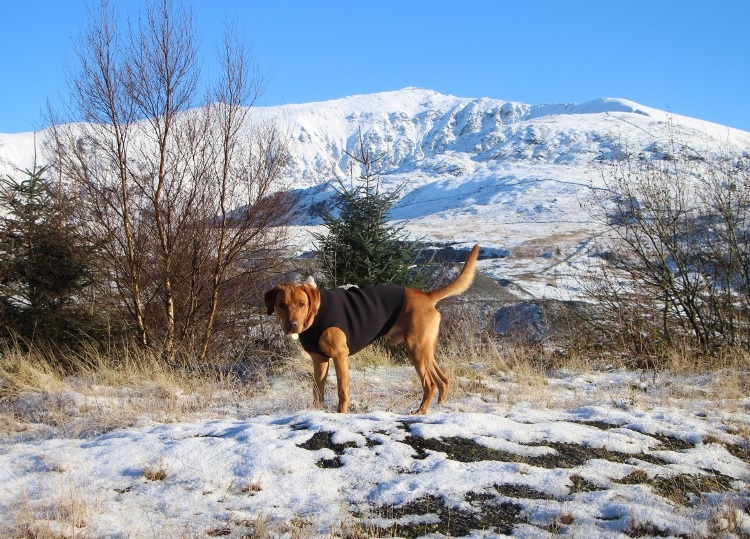 Snowdon in winter
